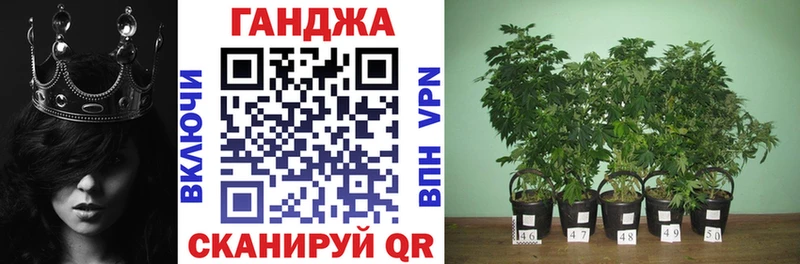 Конопля индика  как найти закладки  Чекалин 